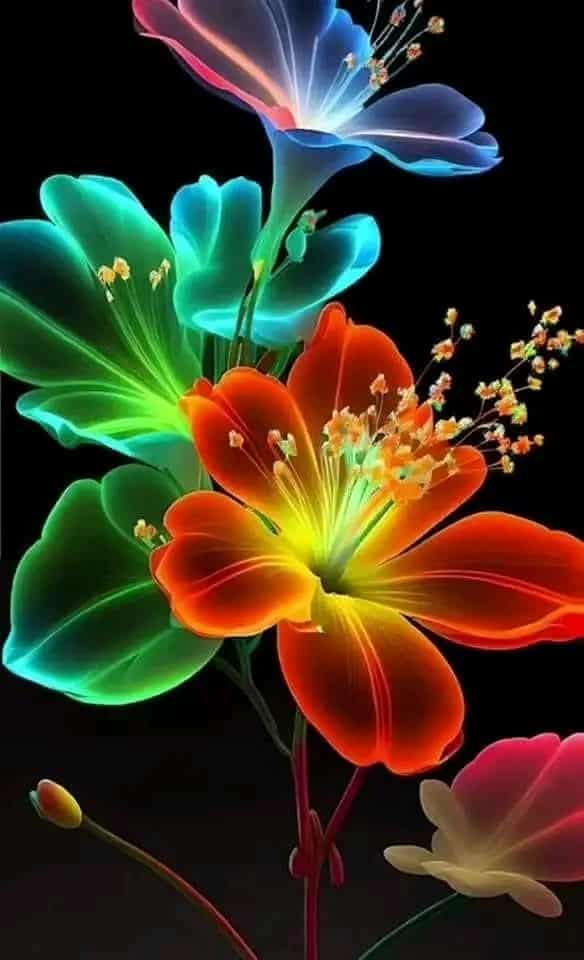 gipjazes flower pictures. 55.jpeg